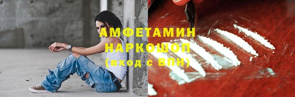 прущие грибы Алзамай