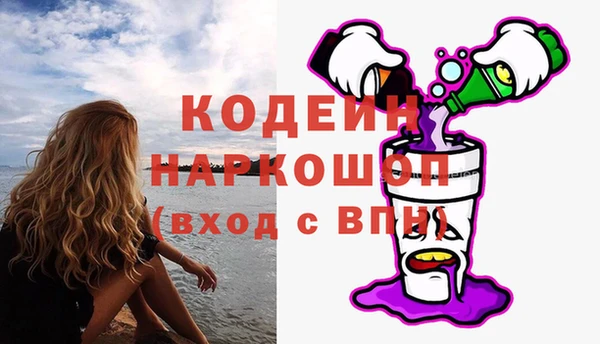 прущие грибы Алзамай