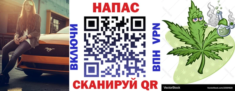 Купить закладки  Кочубеевское  Шишки марихуана сатива 
